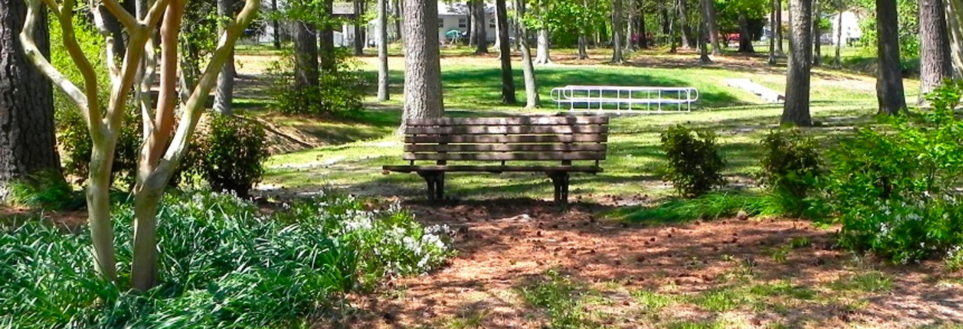 Bayville Farms Park Bench