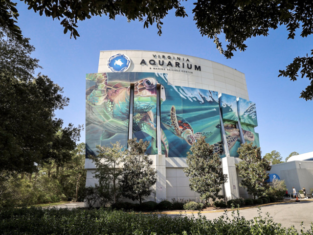 Aquarium Mural Photo for Public Art Page Slider