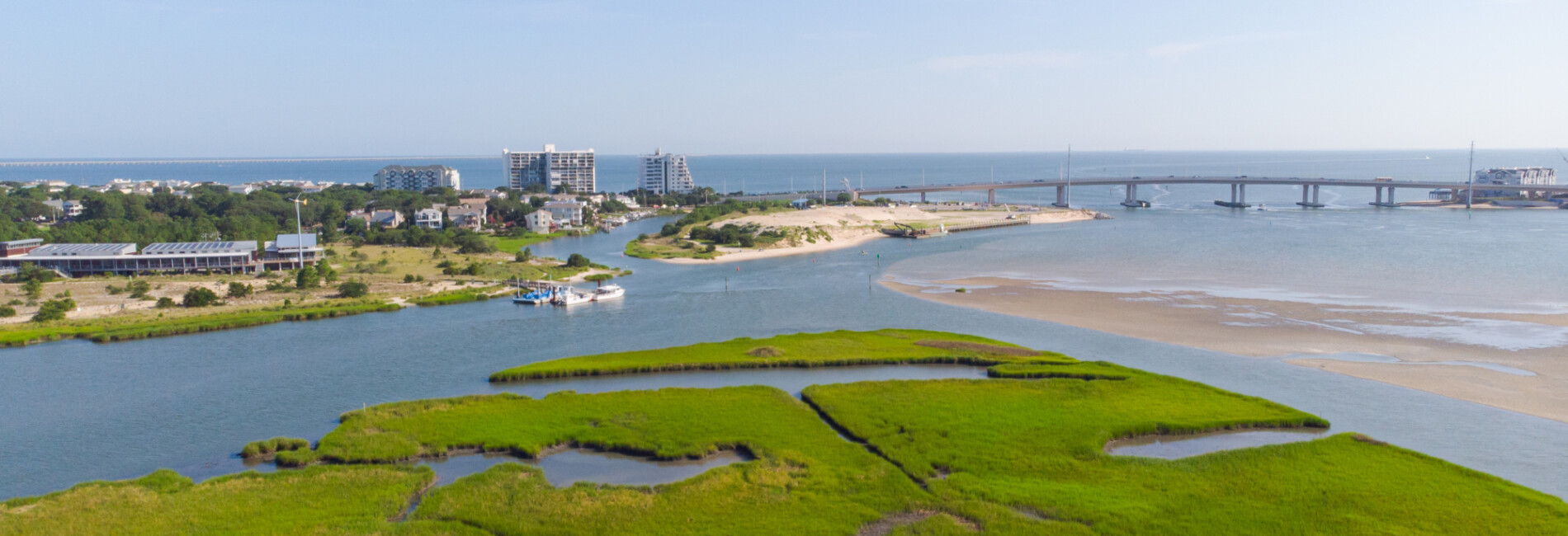 Wetlands near the Chesapeake Bay