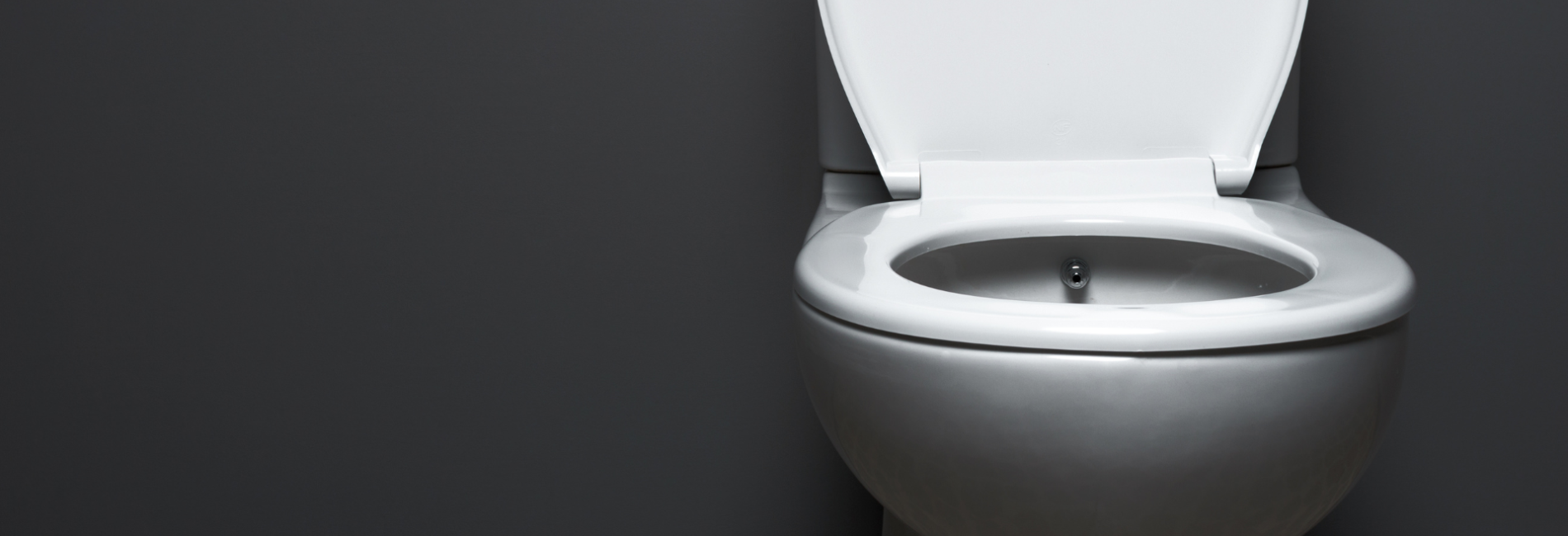 Home toilet with lid up on gray background toilet rebate program