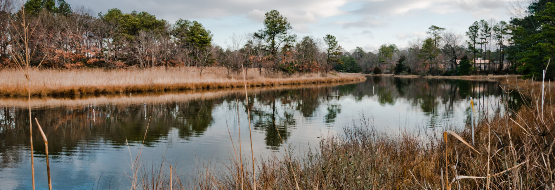 Lynnhaven River