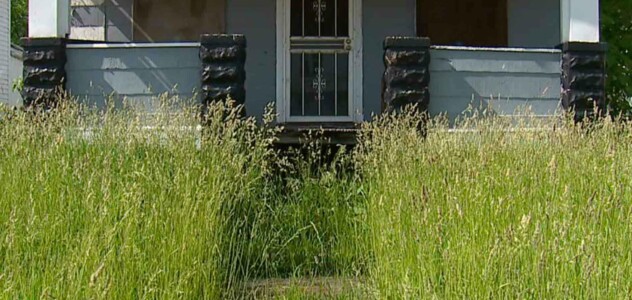 Overgrown Grass in Front of House