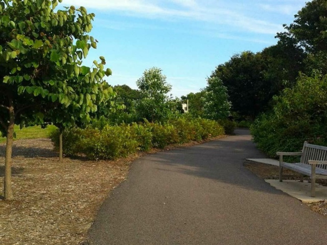 Beach Garden Gallery Shared Use Path