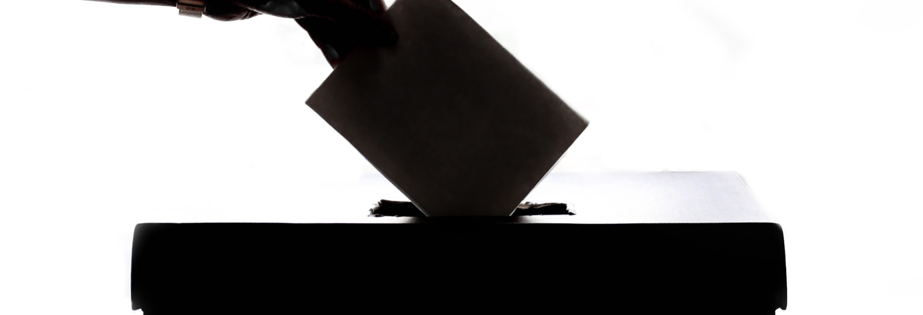 Ballot being placed into voting box